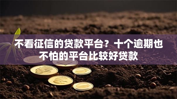 不看征信的贷款平台？十个逾期也不怕的平台比较好贷款