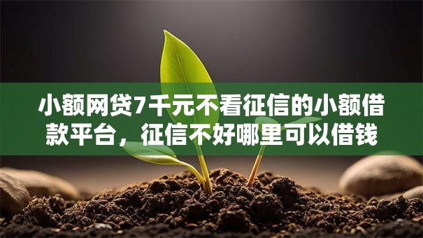 小额网贷7千元不看征信的小额借款平台，征信不好哪里可以借钱的7个平台介绍