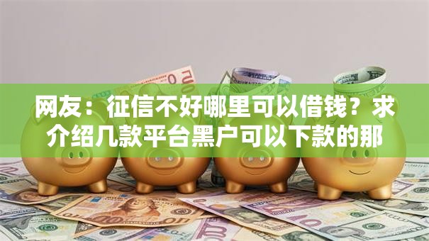 网友：征信不好哪里可以借钱？求介绍几款平台黑户可以下款的那种