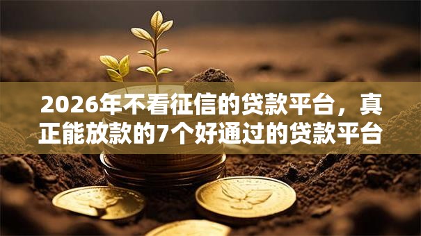 2026年不看征信的贷款平台，真正能放款的7个好通过的贷款平台推荐