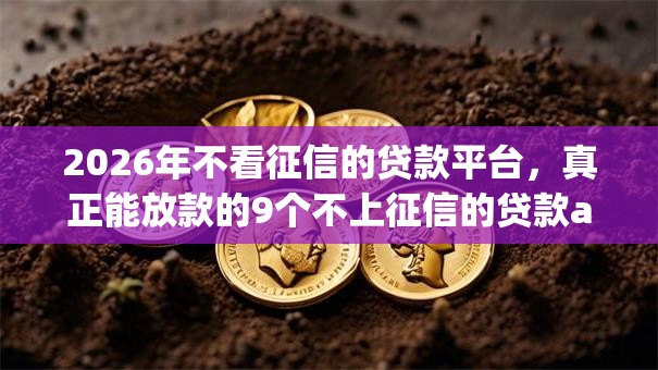 2026年不看征信的贷款平台,真正能放款的9个不上征信的贷款app推荐 2026年不看征信的贷款平台,真正能放款的9个不上征信的贷款app推荐
