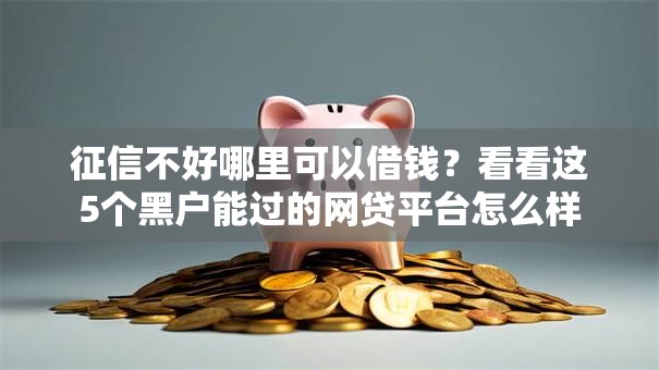 征信不好哪里可以借钱?看看这5个黑户能过的网贷平台怎么样 征信不好哪里可以借钱?看看这5个黑户能过的网贷平台怎么样