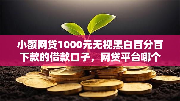 小额网贷1000元无视黑白百分百下款的借款口子,网贷平台哪个好下款的6个平台介绍 小额网贷1000元无视黑白百分百下款的借款口子,网贷平台哪个好下款的6个平台介绍