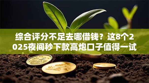 综合评分不足去哪借钱?这8个2025夜间秒下款高炮口子值得一试 综合评分不足去哪借钱?这8个2025夜间秒下款高炮口子值得一试