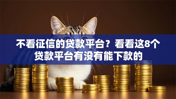 不看征信的贷款平台?看看这8个贷款平台有没有能下款的 不看征信的贷款平台?看看这8个贷款平台有没有能下款的