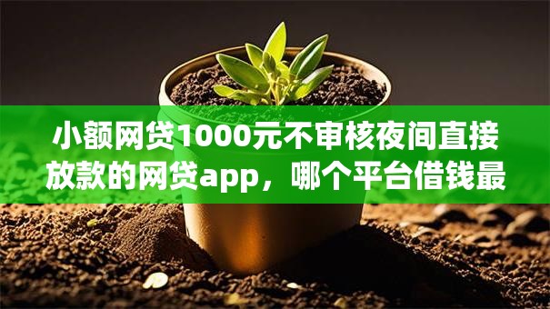 小额网贷1000元不审核夜间直接放款的网贷app，哪个平台借钱最容易通过的7个平台介绍