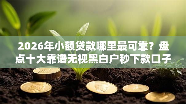 2026年小额贷款哪里最可靠?盘点十大靠谱无视黑白户秒下款口子软件 2026年小额贷款哪里最可靠?盘点十大靠谱无视黑白户秒下款口子软件