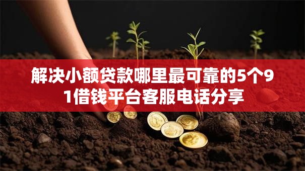 解决小额贷款哪里最可靠的5个91借钱平台客服电话分享