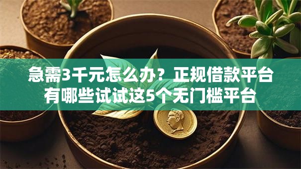 急需3千元怎么办?正规借款平台有哪些试试这5个无门槛平台 急需3千元怎么办?正规借款平台有哪些试试这5个无门槛平台