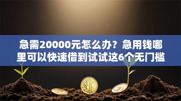 急需20000元怎么办？急用钱哪里可以快速借到试试这6个无门槛平台