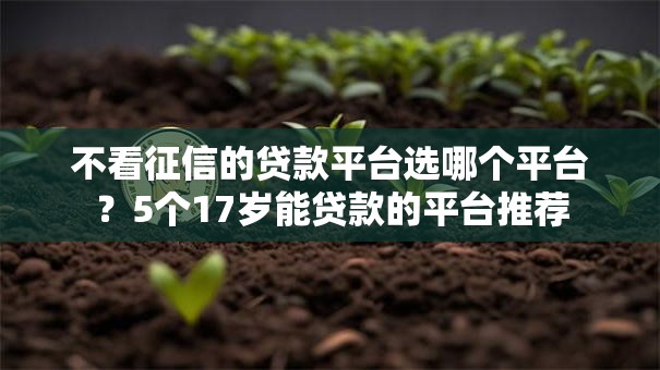 不看征信的贷款平台选哪个平台？5个17岁能贷款的平台推荐