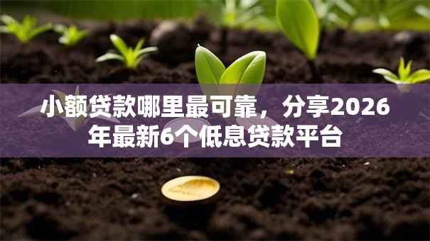 小额贷款哪里最可靠，分享2026年最新6个低息贷款平台