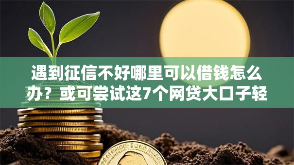 遇到征信不好哪里可以借钱怎么办？或可尝试这7个网贷大口子轻松借平台