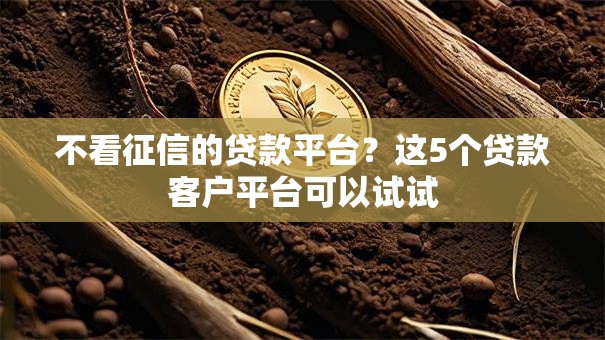 不看征信的贷款平台？这5个贷款客户平台可以试试