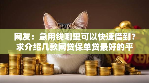 网友：急用钱哪里可以快速借到？求介绍几款网贷保单贷最好的平台