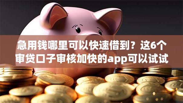 急用钱哪里可以快速借到？这6个审贷口子审核加快的app可以试试