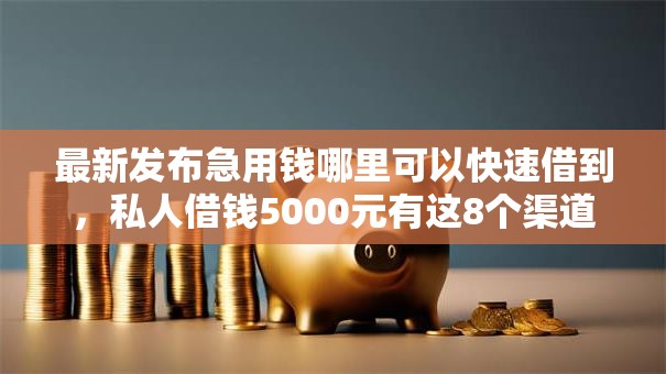 最新发布急用钱哪里可以快速借到，私人借钱5000元有这8个渠道