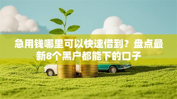 急用钱哪里可以快速借到？盘点最新8个黑户都能下的口子