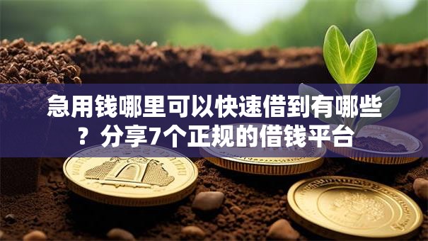 急用钱哪里可以快速借到有哪些？分享7个正规的借钱平台