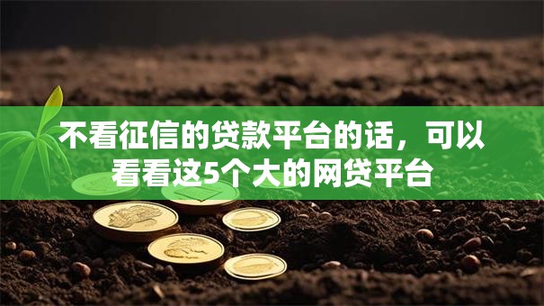 不看征信的贷款平台的话，可以看看这5个大的网贷平台