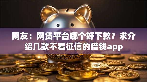 网友：网贷平台哪个好下款？求介绍几款不看征信的借钱app