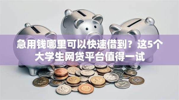 急用钱哪里可以快速借到？这5个大学生网贷平台值得一试