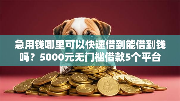 急用钱哪里可以快速借到能借到钱吗？5000元无门槛借款5个平台推荐