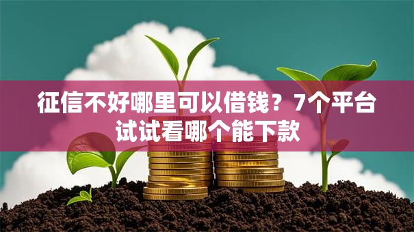 征信不好哪里可以借钱?7个平台试试看哪个能下款 征信不好哪里可以借钱?7个平台试试看哪个能下款