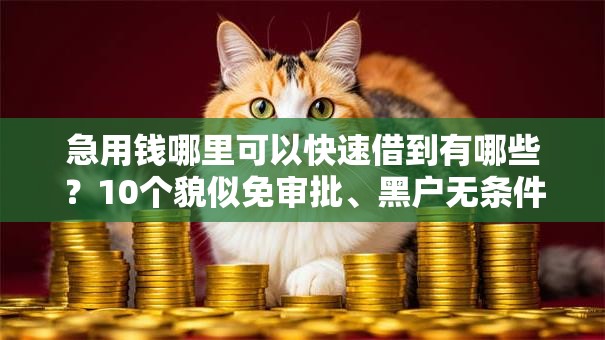急用钱哪里可以快速借到有哪些?10个貌似免审批、黑户无条件下款的软件合集 急用钱哪里可以快速借到有哪些?10个貌似免审批、黑户无条件下款的软件合集