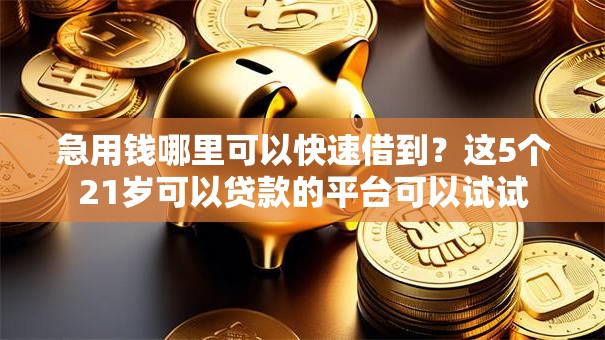 急用钱哪里可以快速借到？这5个21岁可以贷款的平台可以试试