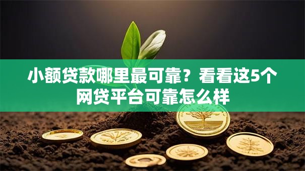 小额贷款哪里最可靠？看看这5个网贷平台可靠怎么样
