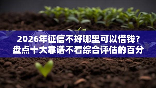 2026年征信不好哪里可以借钱?盘点十大靠谱不看综合评估的百分百下款的软件 2026年征信不好哪里可以借钱?盘点十大靠谱不看综合评估的百分百下款的软件