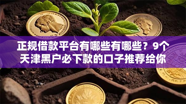正规借款平台有哪些有哪些？9个天津黑户必下款的口子推荐给你