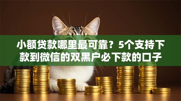 小额贷款哪里最可靠？5个支持下款到微信的双黑户必下款的口子2025