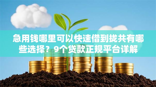 急用钱哪里可以快速借到拢共有哪些选择？9个贷款正规平台详解