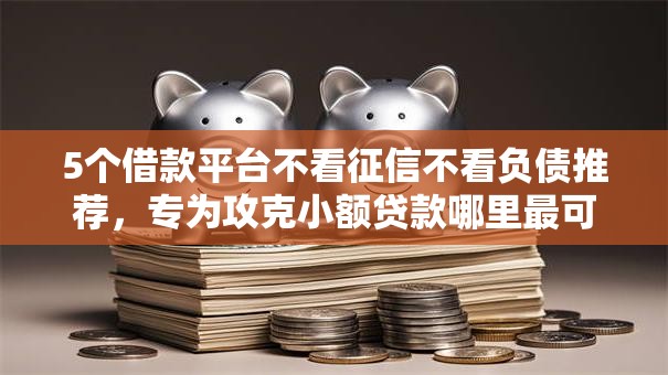 5个借款平台不看征信不看负债推荐，专为攻克小额贷款哪里最可靠难题