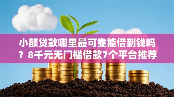 小额贷款哪里最可靠能借到钱吗？8千元无门槛借款7个平台推荐
