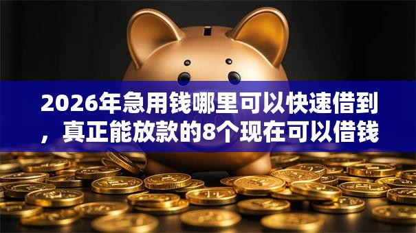 2026年急用钱哪里可以快速借到，真正能放款的8个现在可以借钱的平台推荐
