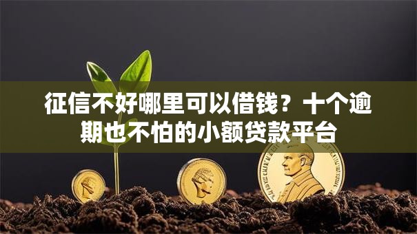 征信不好哪里可以借钱？十个逾期也不怕的小额贷款平台
