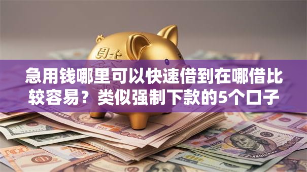急用钱哪里可以快速借到在哪借比较容易？类似强制下款的5个口子参考