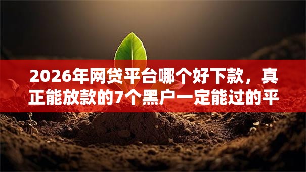 2026年网贷平台哪个好下款，真正能放款的7个黑户一定能过的平台推荐