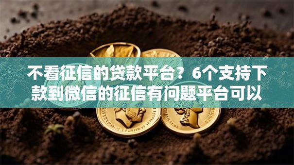 不看征信的贷款平台？6个支持下款到微信的征信有问题平台可以贷款