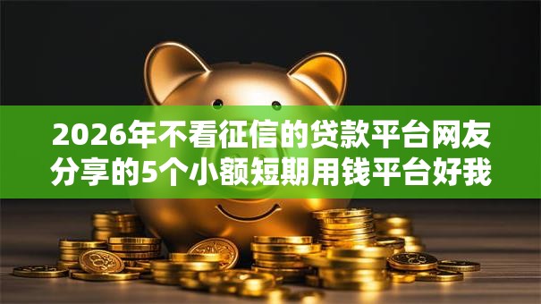 2026年不看征信的贷款平台网友分享的5个小额短期用钱平台好我觉得不错！