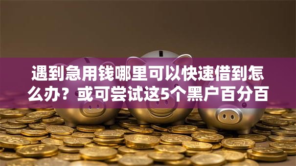 遇到急用钱哪里可以快速借到怎么办？或可尝试这5个黑户百分百不拒的2000借款口子