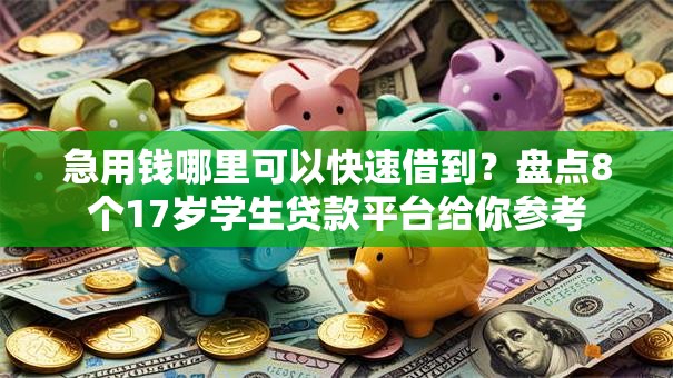 急用钱哪里可以快速借到？盘点8个17岁学生贷款平台给你参考