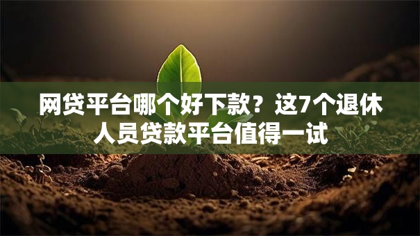 网贷平台哪个好下款？这7个退休人员贷款平台值得一试