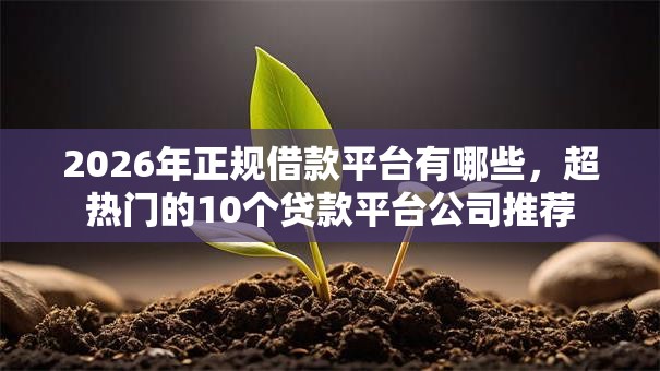 2026年正规借款平台有哪些，超热门的10个贷款平台公司推荐