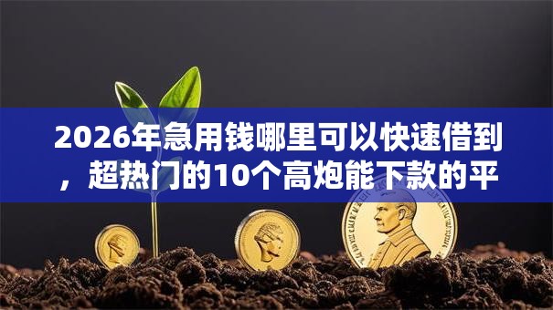 2026年急用钱哪里可以快速借到，超热门的10个高炮能下款的平台推荐