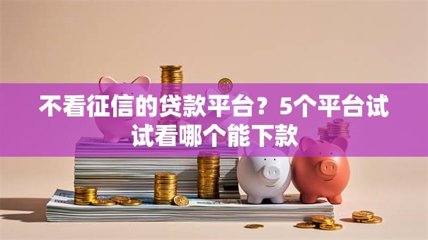 不看征信的贷款平台？5个平台试试看哪个能下款