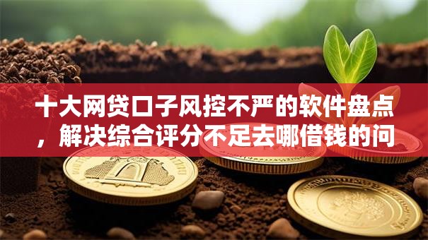 十大网贷口子风控不严的软件盘点，解决综合评分不足去哪借钱的问题